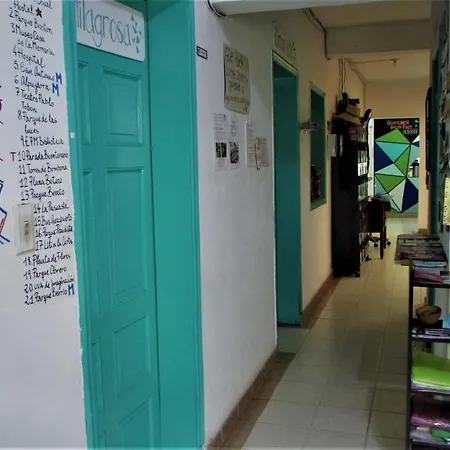 Medallo Social Hostal